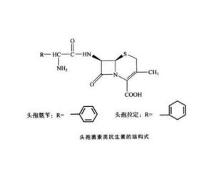 大观霉素属于哪一类抗生素？新手必看的核心知识点有哪些？
