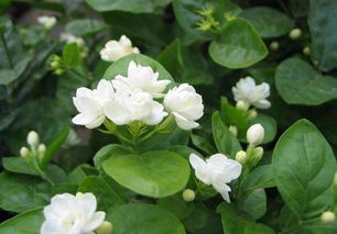 如何避免80%的损耗？