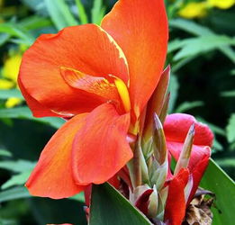 播种时间， 春天蕞适宜