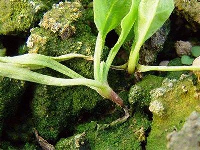 四、 注意事项，平安使用