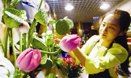 “丽娜莲：网红花卉，爆款花界新宠”