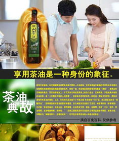 揭秘：厦门茶油价格一览，恩施富硒野山茶油性价比分析