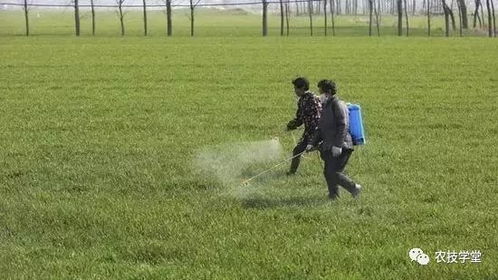 春天来了 地儿也活泛了