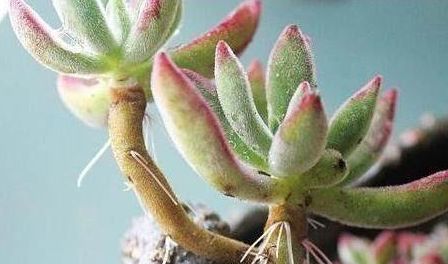 接下来 我们要注意这些细节