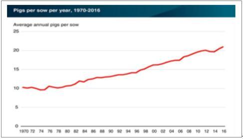 2017年中国生猪价格波动分析