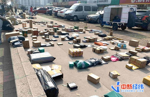 运输车辆类型多样，包括平板车、高栏车、厢式车等，满足不同货物运输需求。