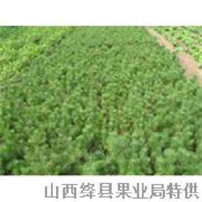 价格差异大，怎么判断？