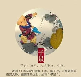 石榴在十二生肖中象征着什么其象征意义与文化渊源有何关联