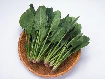 五颜六色的叶菜，你知道它们叫什么名字吗？