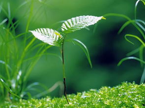 秋收冬藏， 四季分明