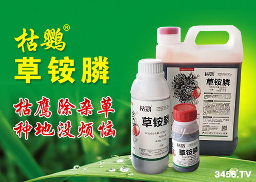 精草铵膦铵盐除草剂：平安环保的选择