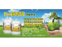 绿袋肥， 菌肽增效剂，土壤的救星