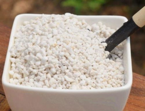 小米星的土壤配置