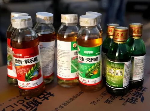 杀虫药灭杀法，直接又高效