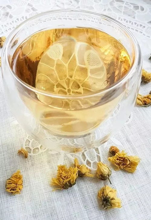 菊花茶怎么泡才好喝？老茶客分享正确泡法