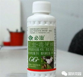 月季使用楼顶杀虫剂效果如何？适合防治哪些常见虫害？