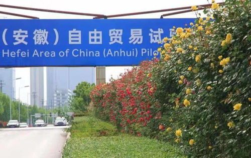 北方种植花卉的注意事项