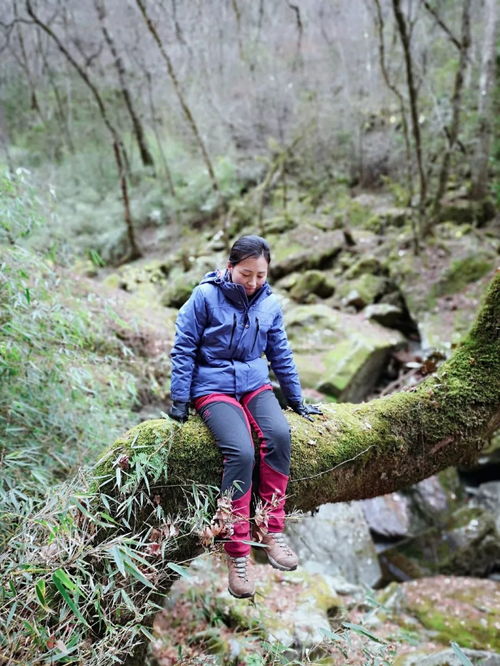 这些“流氓草”的生存秘籍可得记牢