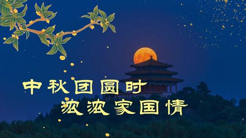 ：江西润心茶油——月亮情之旅，解锁茶叶新境界