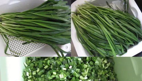 养草的精力投入