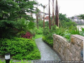 北京星河园林景观工程有限公司， 你的绿色家园守护者