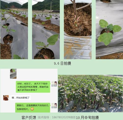 经验分享：成功案例分析