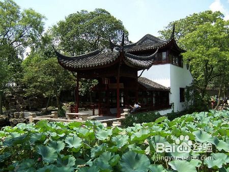 园林苗圃， 城市绿化的源头之地