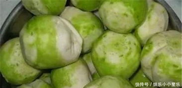 掌握种植诀窍：芥菜疙瘩最佳播种时间揭秘！