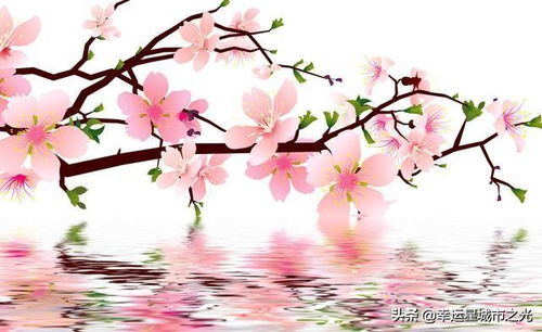 梅花花语：平凡中绽放的坚韧之美