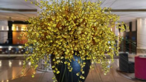 插入花瓶，姿势要优雅