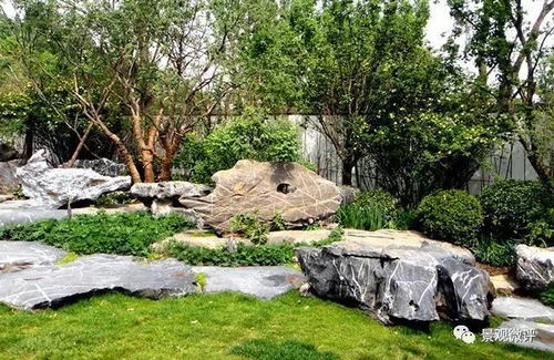 假山与置石的“大”不同