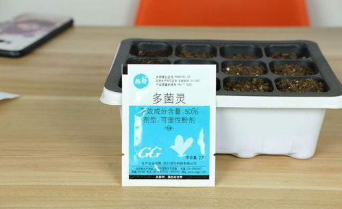 多菌灵， 花友们dou认识