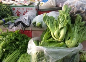 什么是新科技种植蔬菜？