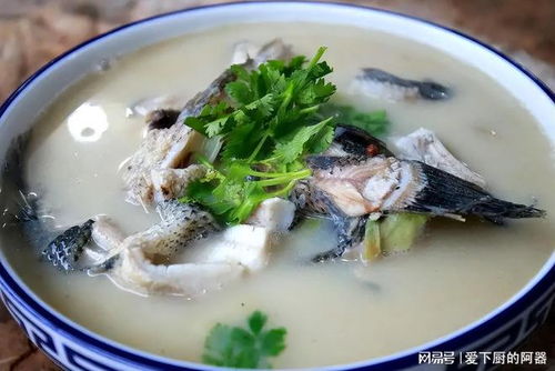 红烧黑鱼是一道以黑鱼为主料，以红烧为主要烹饪方法的传统菜肴