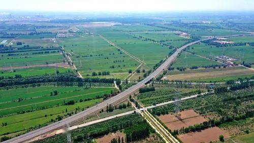 林带种植哪种草的成活率嫩超过90%？揭秘耐寒耐旱的生存者