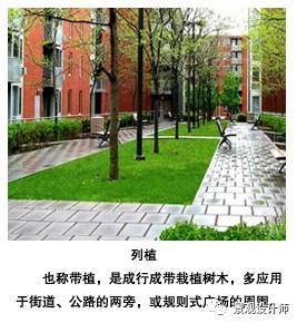 园林景观园林植物作为设计元素，植物景观类型同样具有诸如颜色、大小、质地、形状、空间、尺度等要素特征