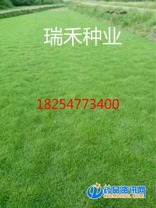 播种的学问，你懂多少？