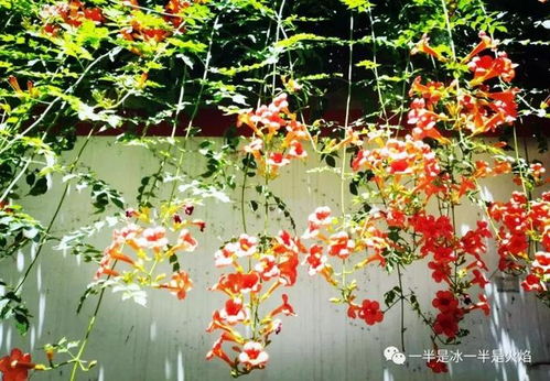 数学与生活的交织