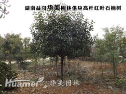 影响价格的因素