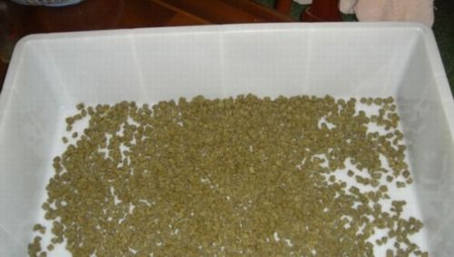 黑统一锦鲤饲料中是否含有对锦鲤健康有益的天然植物提取物成分？