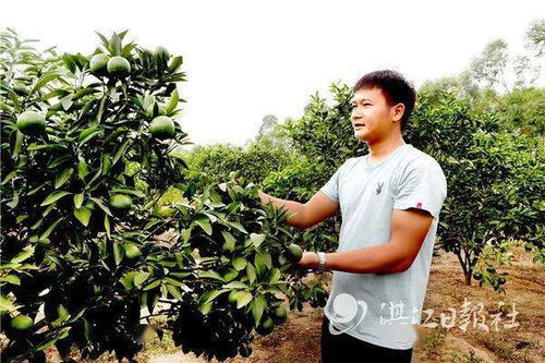 廉江大学生返乡创办家庭农场，引领农业养殖新潮流