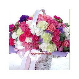 康乃馨——长久的友谊