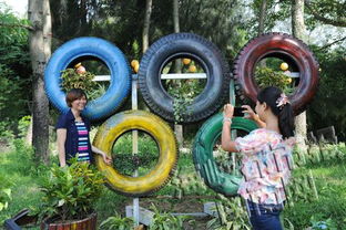 废旧轮胎种植花卉，环保又美观！