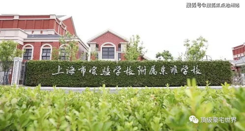 社区花园：连接人与自然的桥梁