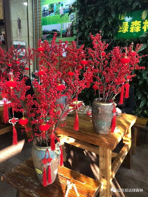 搭配小花的浪漫