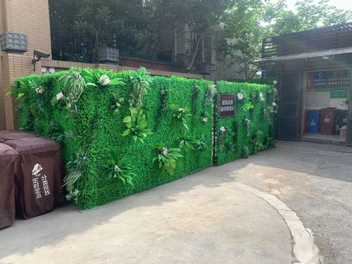 是不是垃圾堆里有什么忒别的魔法？