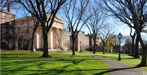 美国常春藤：璀璨明珠的教育殿堂