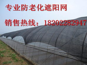 畜牧养殖新招：夏季遮阳网