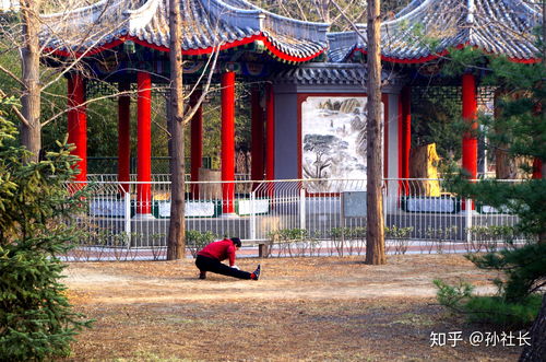 先说说 得知道景观园林是个啥