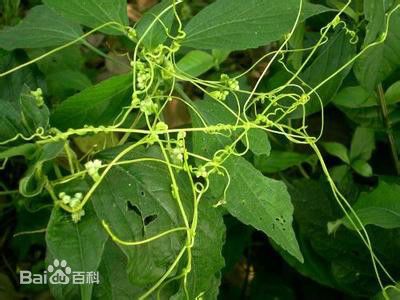 排水问题，你考虑过吗？